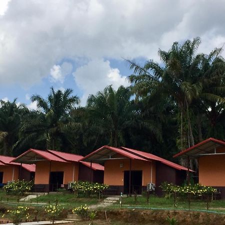 Khao Sok Evergreen House Khao Sok National Park Exterior photo