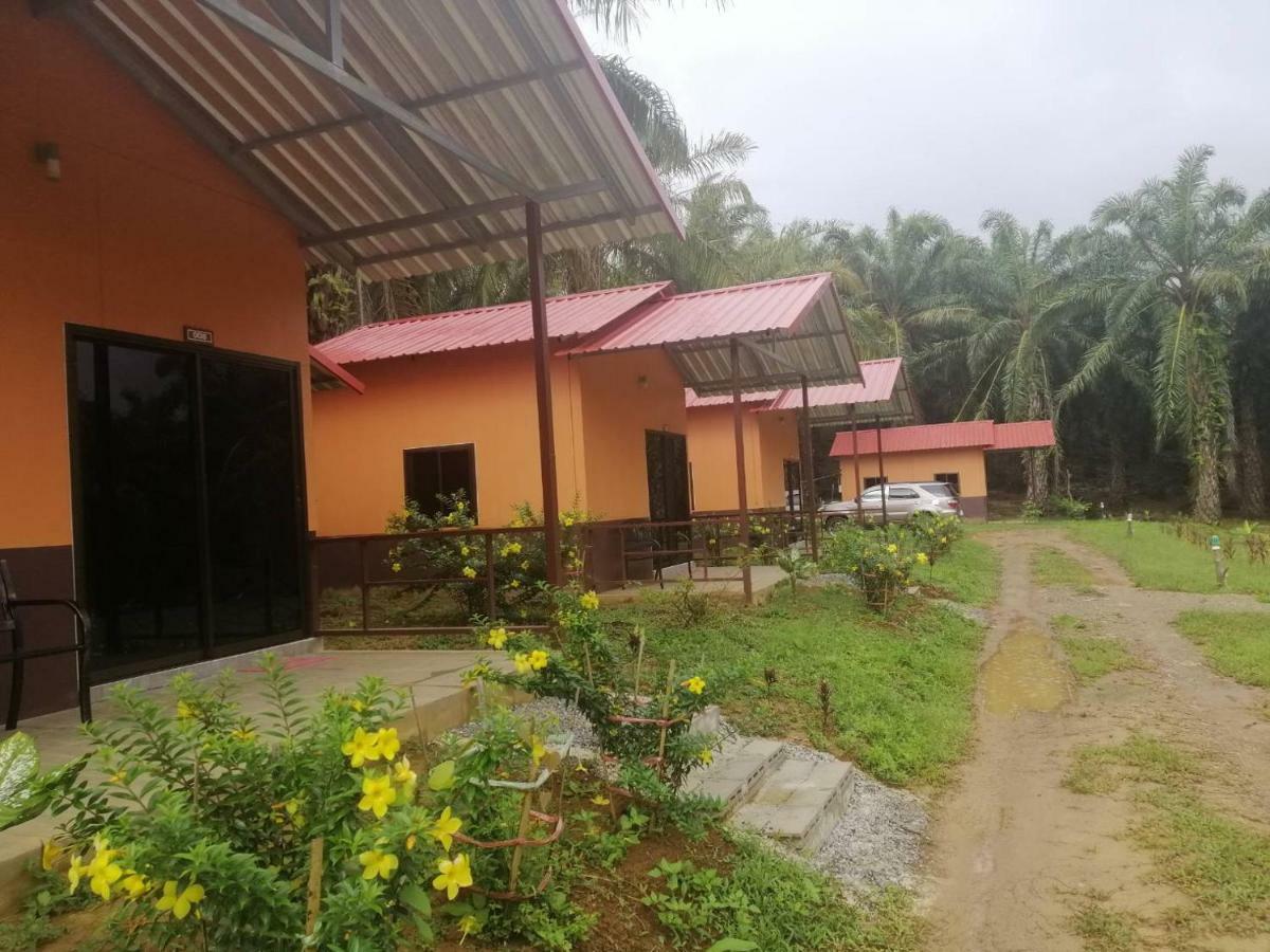 Khao Sok Evergreen House Khao Sok National Park Exterior photo