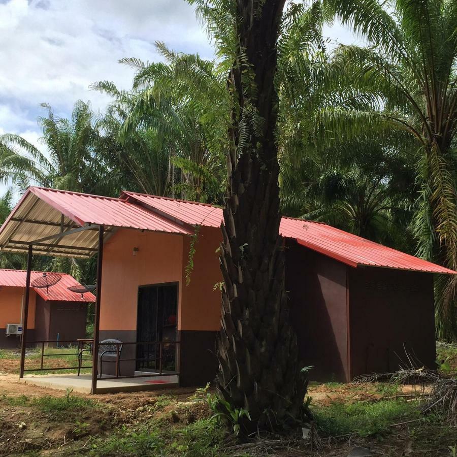 Khao Sok Evergreen House Khao Sok National Park Exterior photo