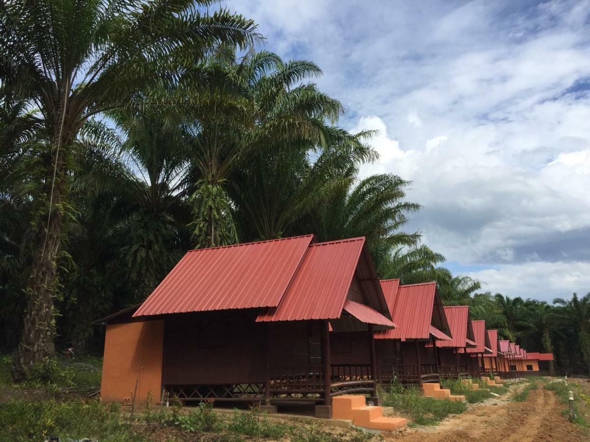 Khao Sok Evergreen House Khao Sok National Park Exterior photo