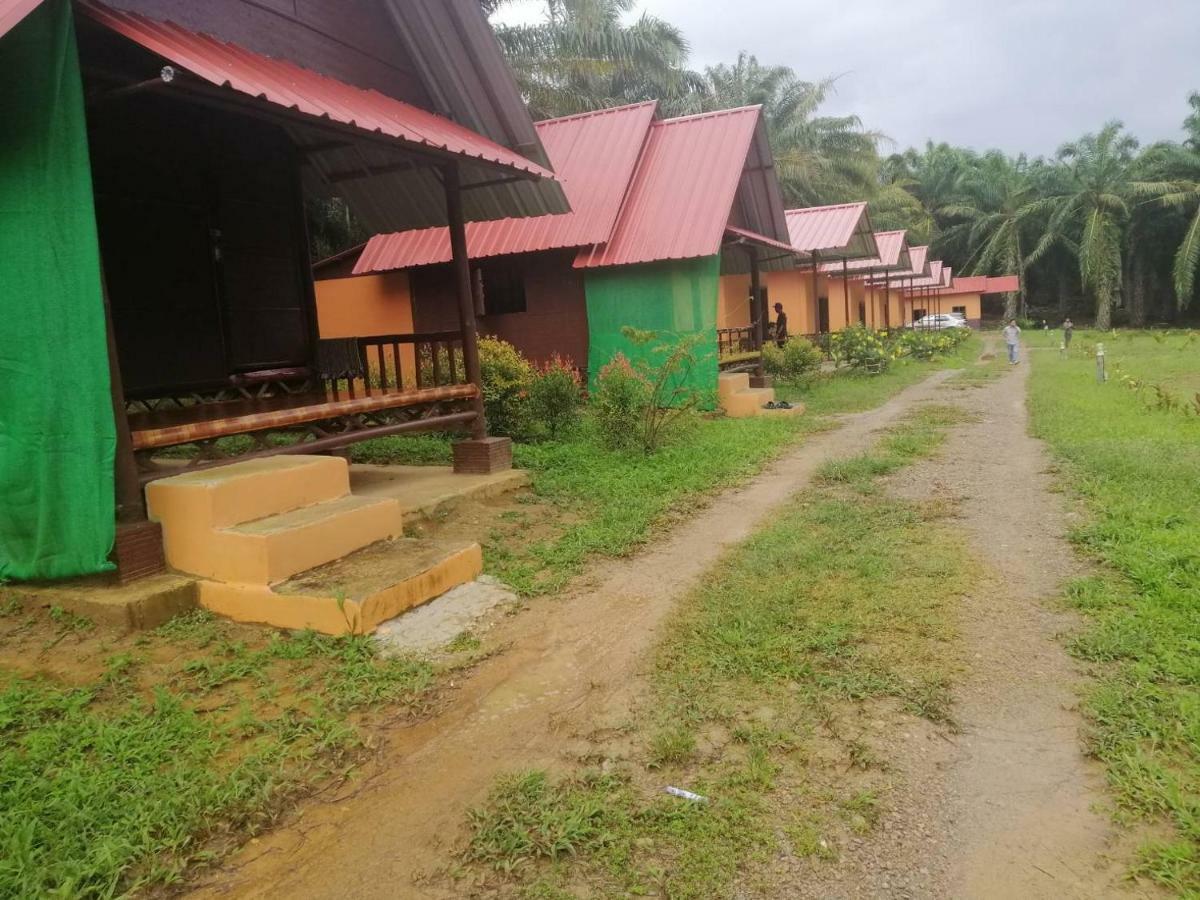 Khao Sok Evergreen House Khao Sok National Park Exterior photo
