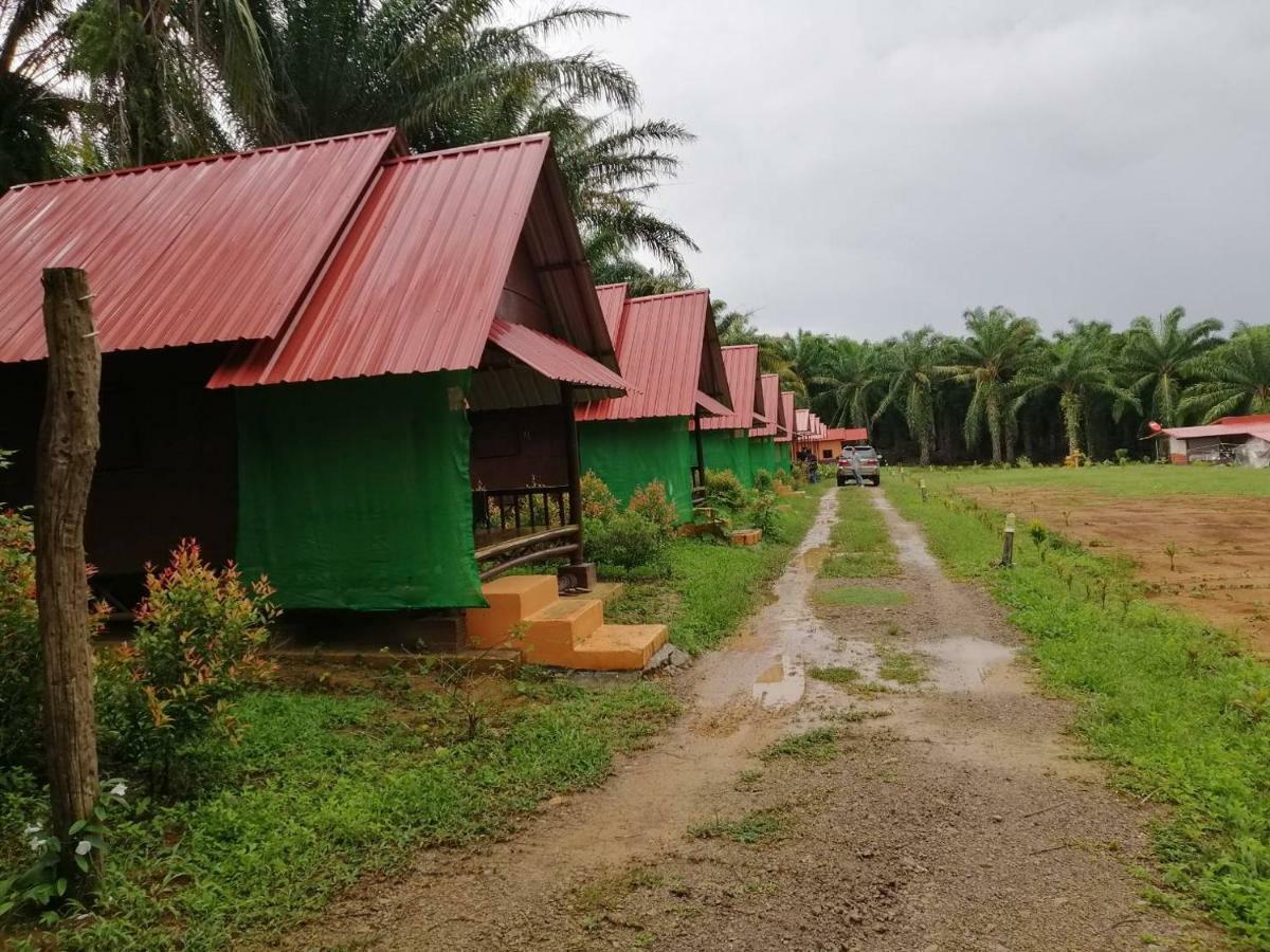 Khao Sok Evergreen House Khao Sok National Park Exterior photo