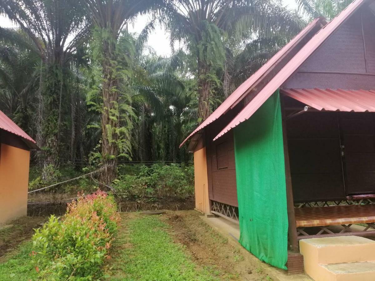 Khao Sok Evergreen House Khao Sok National Park Exterior photo