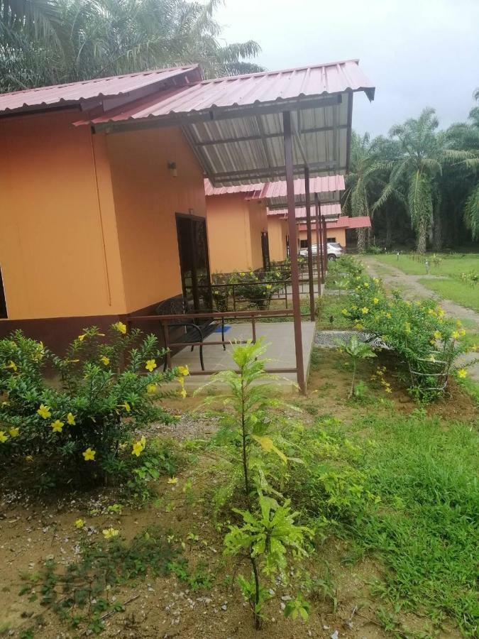 Khao Sok Evergreen House Khao Sok National Park Exterior photo
