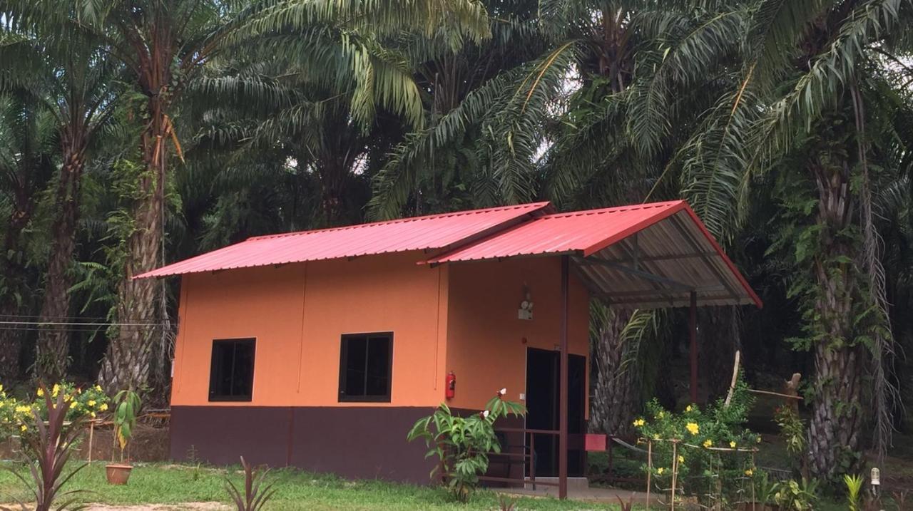 Khao Sok Evergreen House Khao Sok National Park Exterior photo