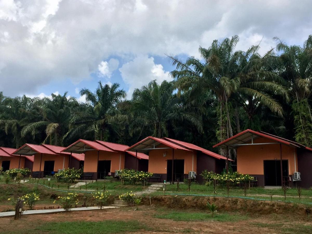 Khao Sok Evergreen House Khao Sok National Park Exterior photo