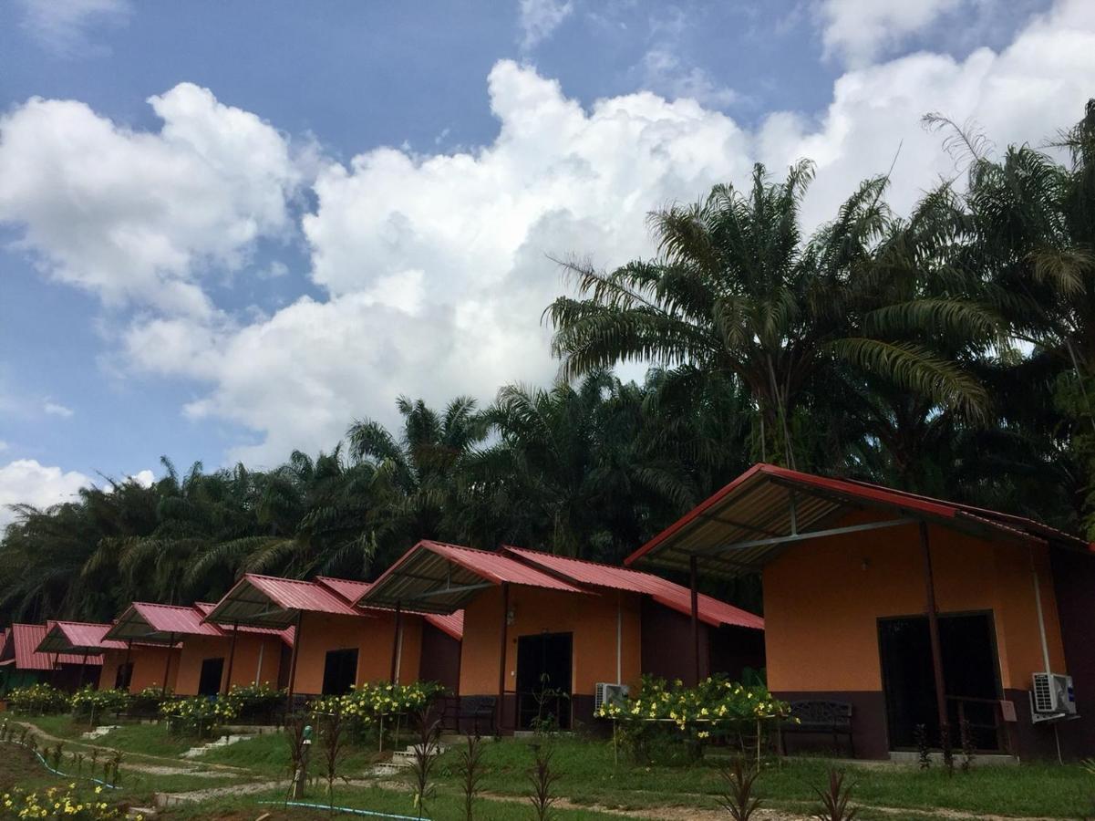 Khao Sok Evergreen House Khao Sok National Park Exterior photo